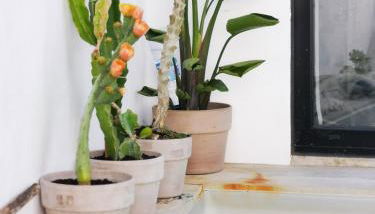 Casadasfurnazinhas - Foto 4