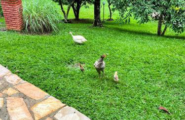 Casa em condominio a 40km de Belo Horizonte - Foto 11