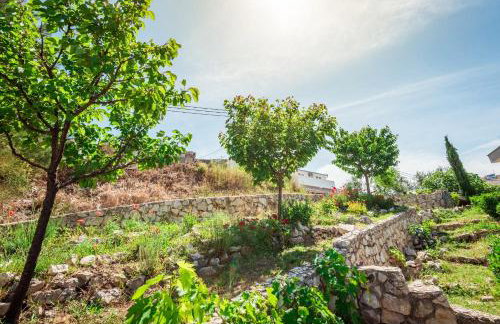 Apartmani Gelo - Foto 69