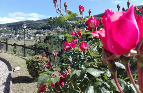 Apartamentos El Sualleiro - Foto 32