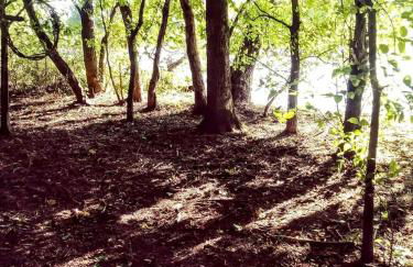 Cozy Wood Shed Tiny House Near Old Hickory Lake w/ Full Kitchen, Fire Pit & Breakfast - Foto 51