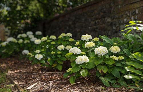 The Cart Shed - Foto 17