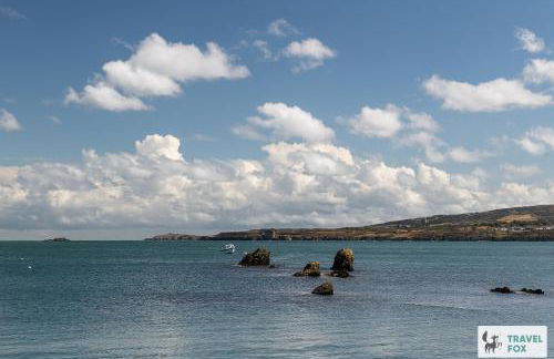 The Anchorage - Photo 46