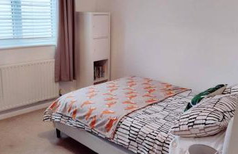 Willowbank - Photo 16