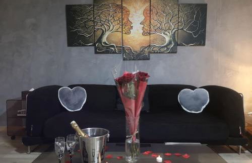 Appart' spa privatif Gray - Foto 11