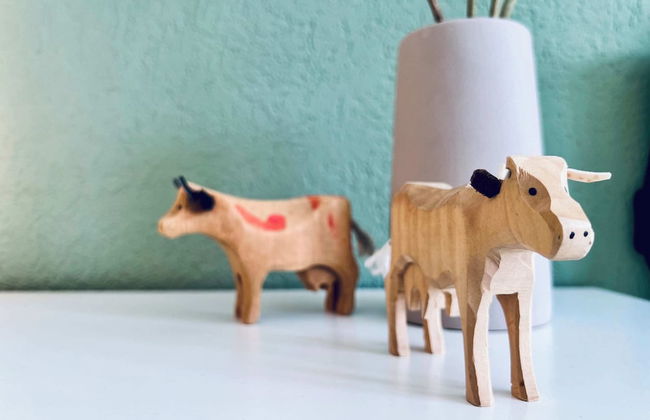 Südlenz 21 - Foto 14