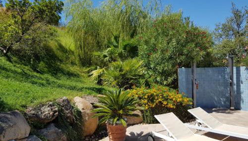 Villa Petra e Survas in La Caletta Countryside - Foto 5, Garden