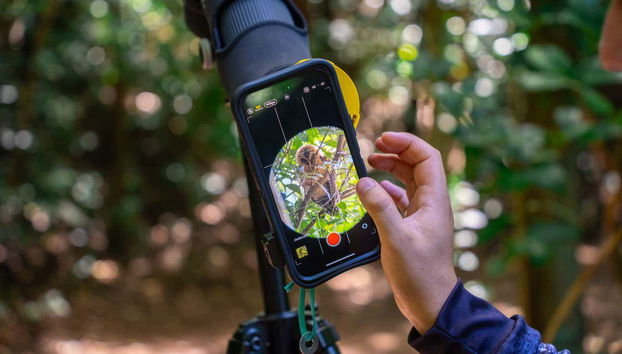 Enjoy binoculars and telescopes