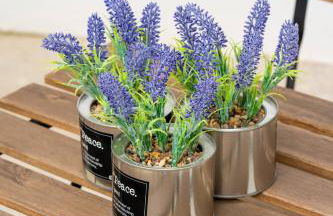 Charm São Mamede - Photo 27