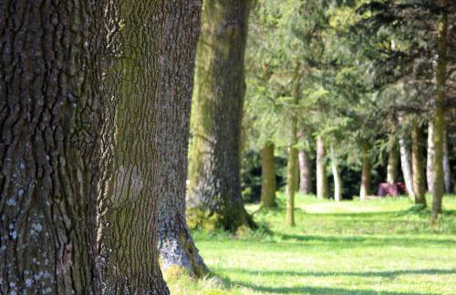 Hlebówka siedlisko w Sudetach - Foto 30