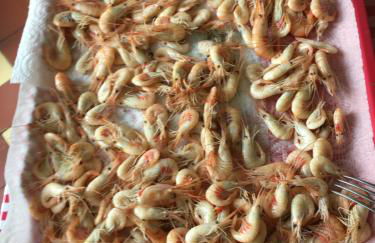 Villa St Laurent - Foto 10