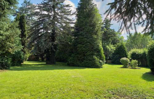 Haus im Gruenen - Foto 6