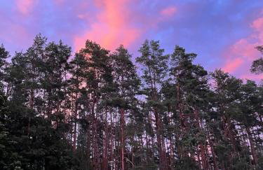 Strużka Kaszuby - Leśniczówka w sercu Borów Tucholskich - Foto 49