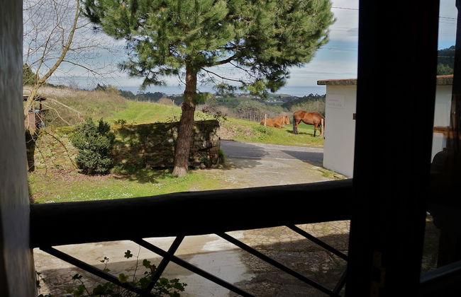 Apartamentos La Collada - Photo 52