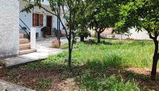 Irene's Guest House - Foto 4, Garden