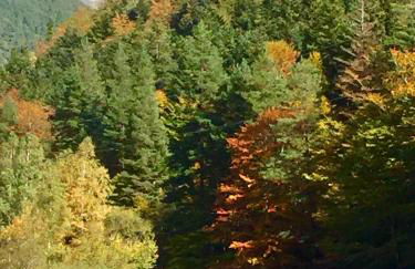 CASA PESCA VERA - Foto 54