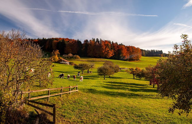 La Maisonnette Enchantée - Foto 30