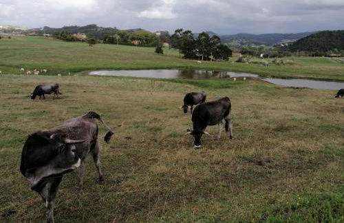 Apartamento Pueblo De Mogro - Foto 34