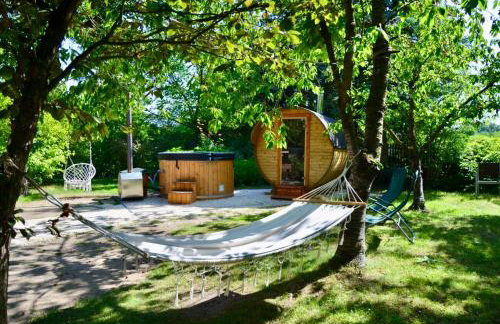 Rzeka i las - Photo 18