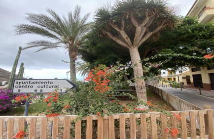 La Molina Estudio - Foto 22