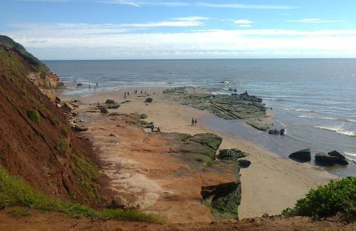 Courtbrook Farm Apartments - Foto 22