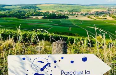 L'effervescence - Foto 11