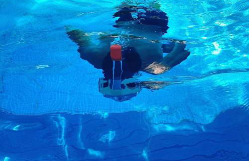 Casa do Vale - DOURO - Photo 21