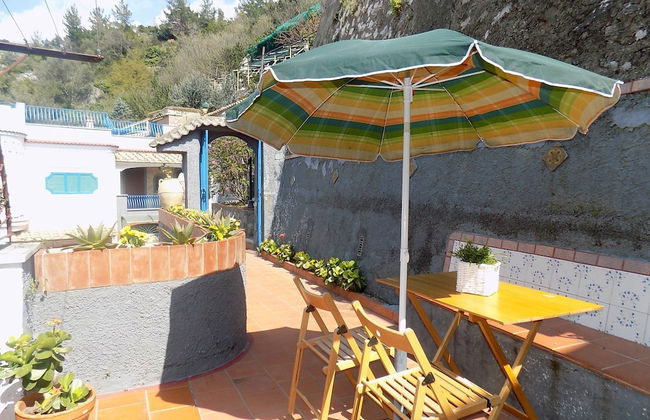 Maison des fleurs - Photo 65