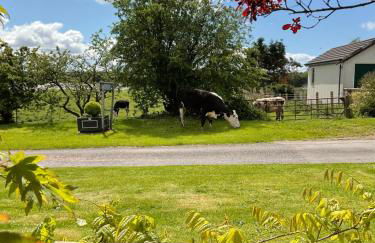 The Wee Hoose - Foto 15