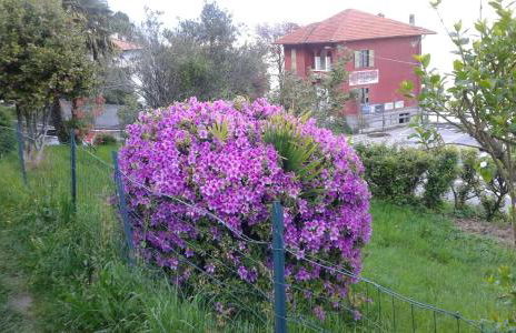 Vanni's House - Foto 29