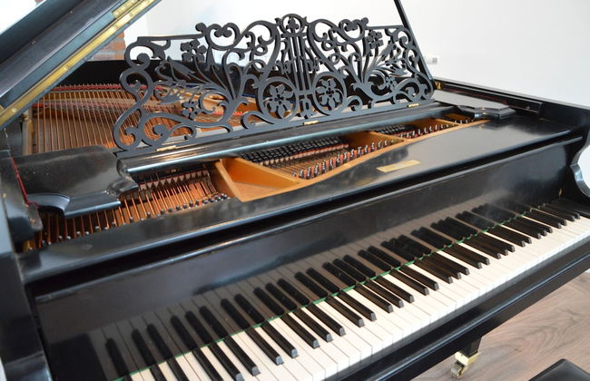 Swolgen Estate With Sauna - Photo 35