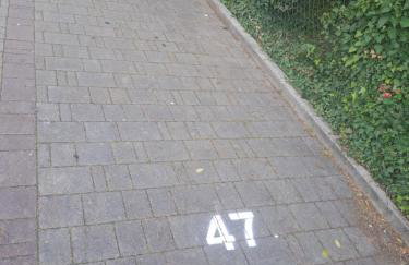 Lucca&Dreams - Foto 17