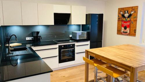 Ferienwohnung & Monteurunterkunft Mainbogen-Blick - Foto 4, stove, dishwasher