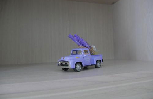 La Casetta del Glicine - Photo 29