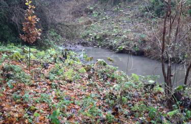 Daiches Braes Brunstane Portobello - Foto 33