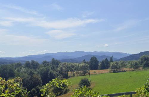 Domki nad Stawem Uherce - Foto 7