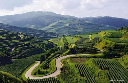 Maisonette Ferienwohnung mit 90qm - Foto 30