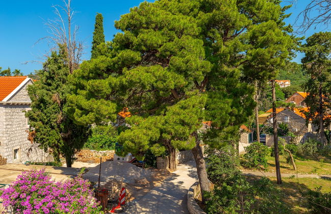 Villa Pomalo - Foto 54