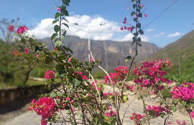 Senderismo por el cañón del Chicamocha - Foto 4