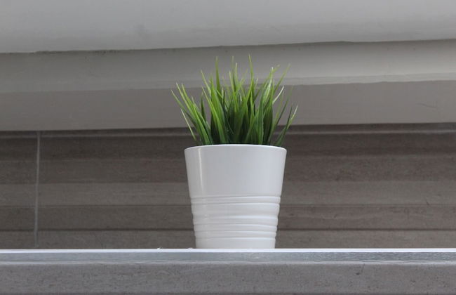 Charming Countryside Cottage, Diptford Near Totnes - Foto 5