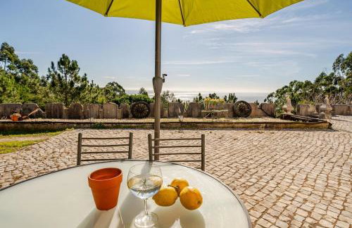 Casa na Floresta - Photo 11