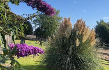 Kleines Landhaus Kopendorf - Foto 12