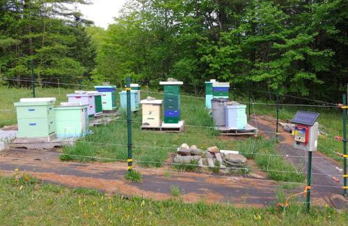 Spacious country retreat close to town and nature, Sylvana Farm VT - Foto 29