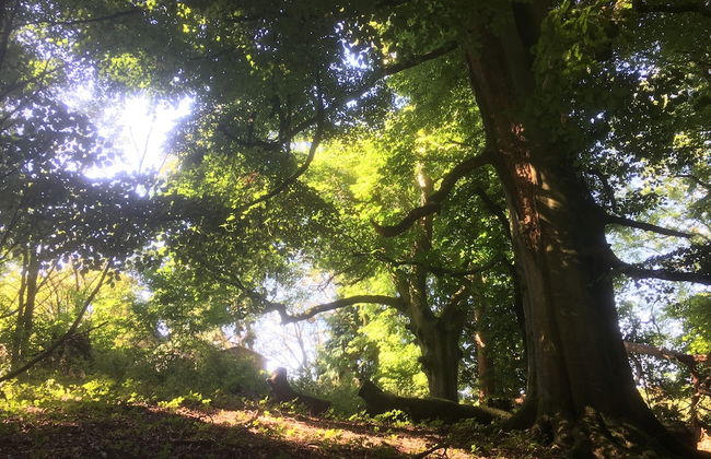 Drovers Retreat - Foto 20