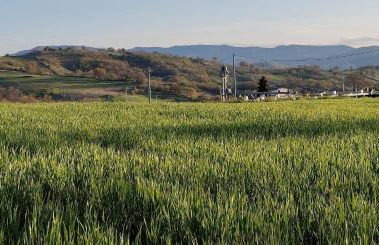 COUNTRY HOUSE - Foto 41