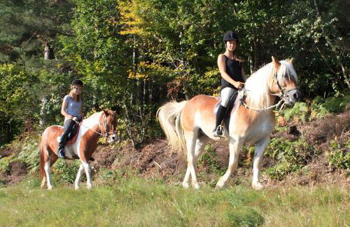 Schlosshof - Der Urlaubsbauernhof - Foto 11