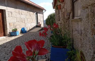 Quinta Do Quetrofe - Foto 16