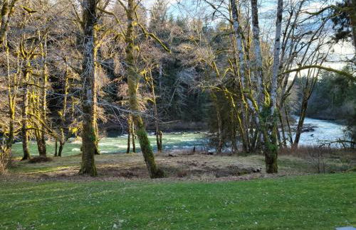 A Relaxing Getaway-A Backwoods Cabin SolDuc River - Foto 14