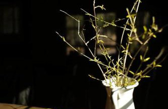 Woodside Cabin in Delaware Water Gap - Foto 31