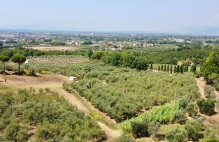 Agriturismo La Sorgente di Rossi Valentino - Foto 70